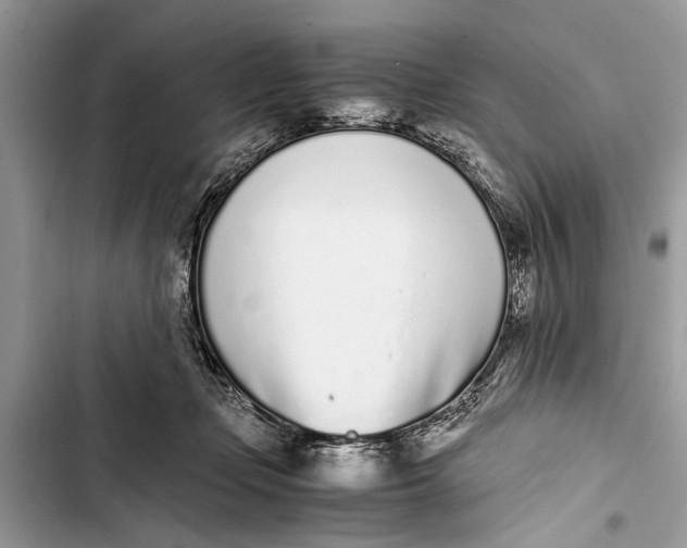 X0000103450365200810031441