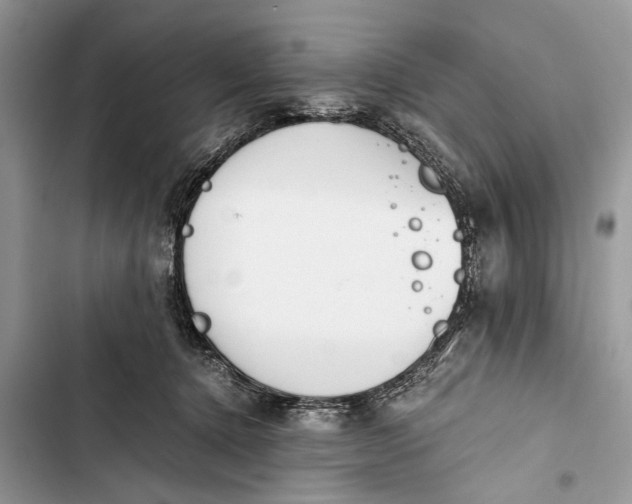 X0000103450368200810031441