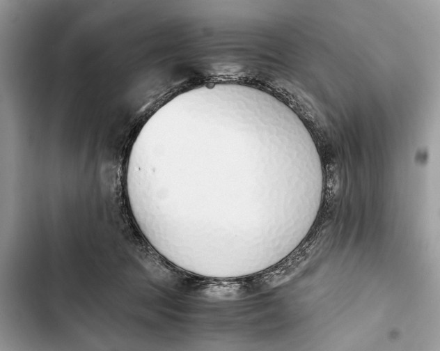 X0000103450369200810031441