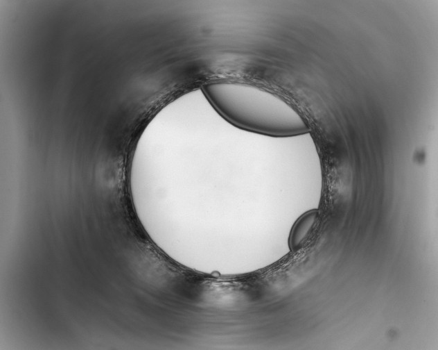 X0000103450372200810031441