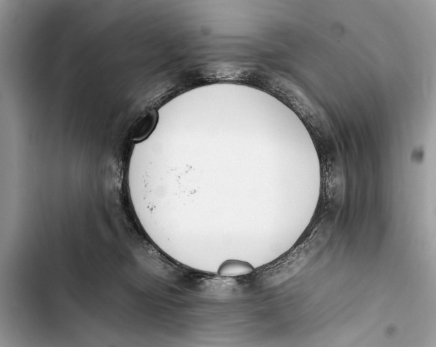 X0000103450374200810031441