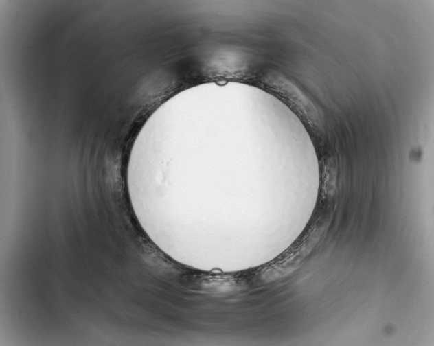 X0000103450377200810031441