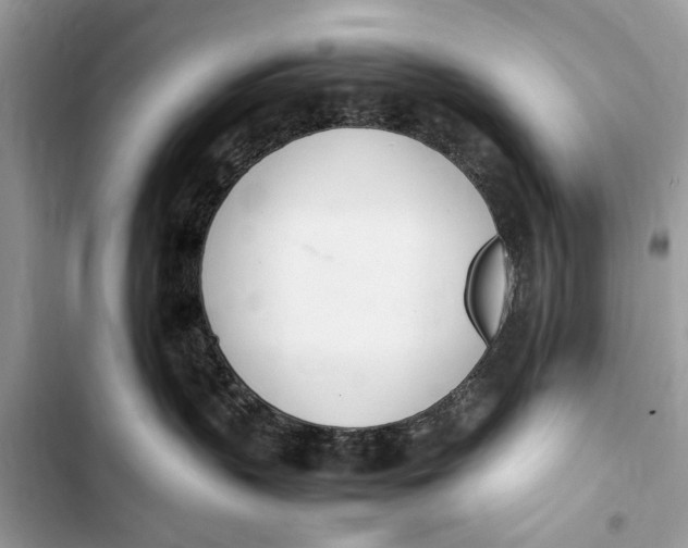 X0000103450383200810031441