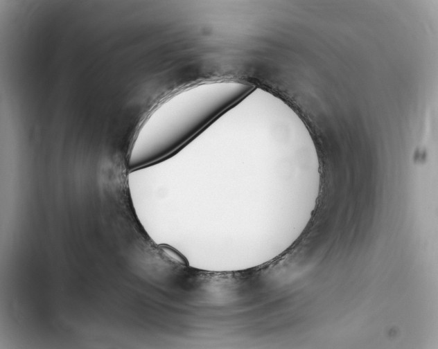 X0000103450384200810031441