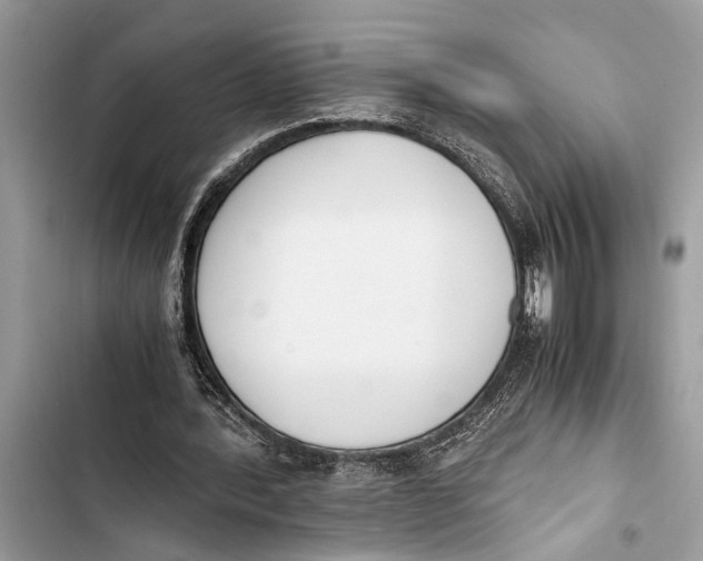 X0000103450388200810031440