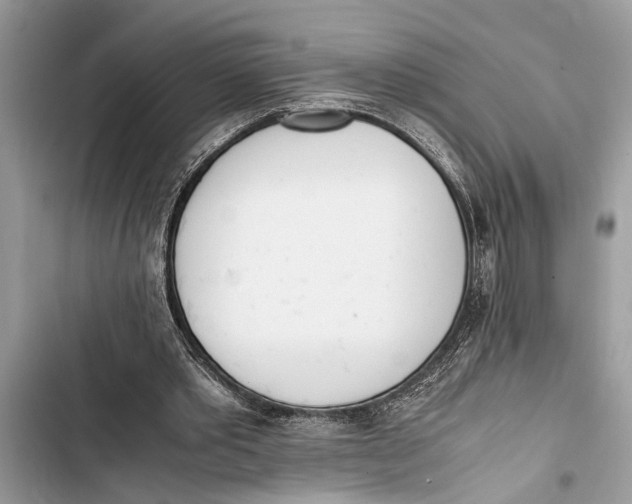 X0000103450389200810031440