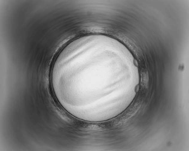 X0000103450390200810031440