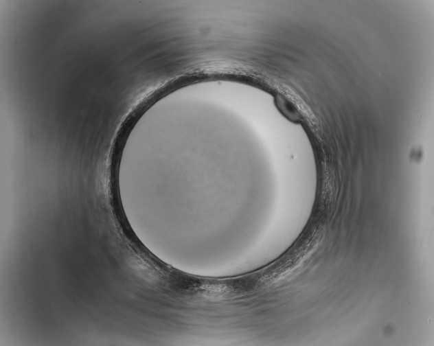 X0000103450391200810031440