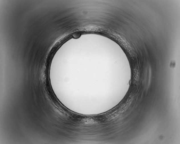 X0000103450392200810031440