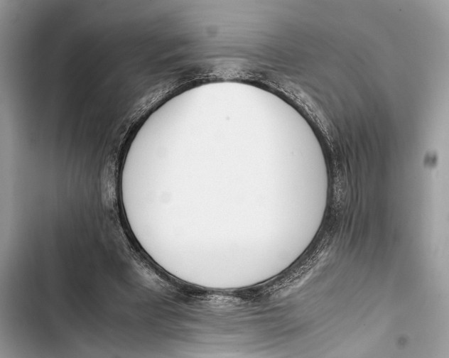 X0000103450393200810031440