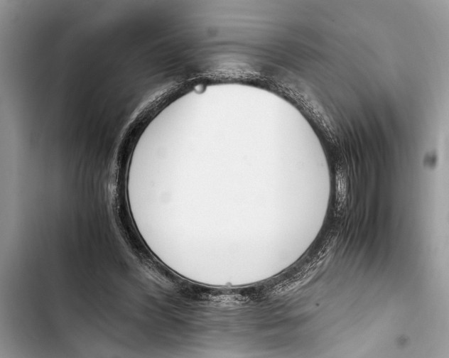 X0000103450396200810031440