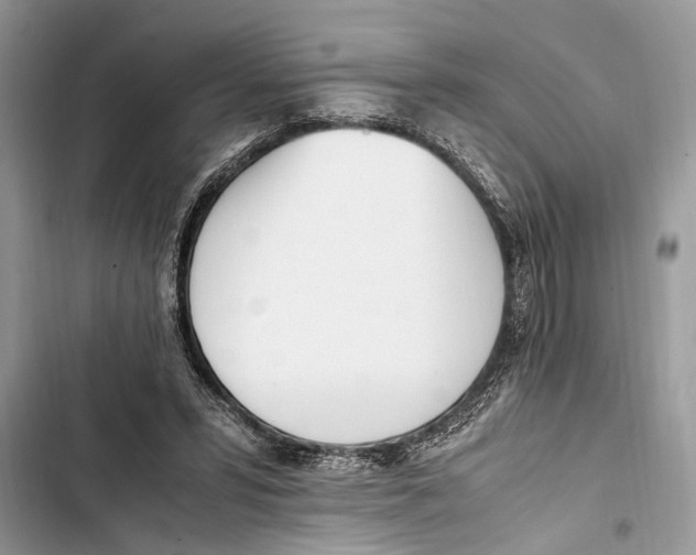 X0000103450399200810031440