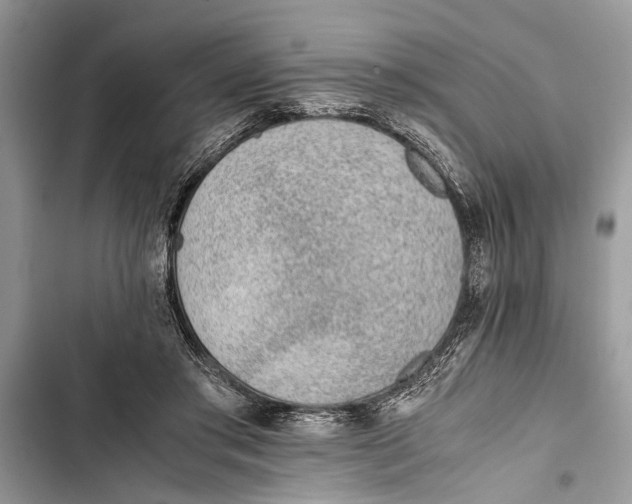 X0000103450405200810031440