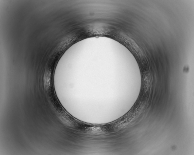 X0000103450406200810031440