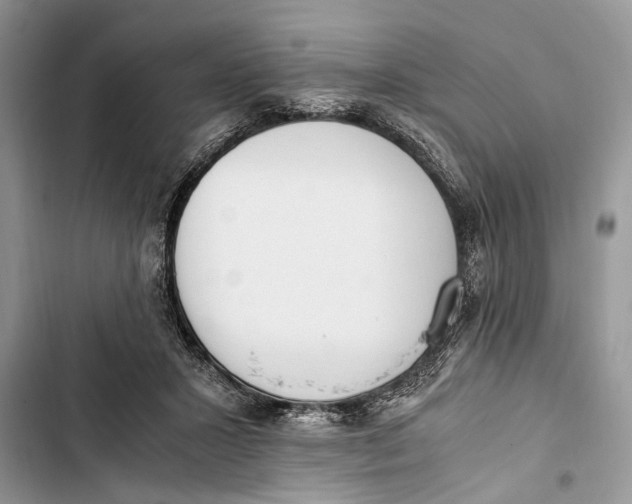 X0000103450407200810031440