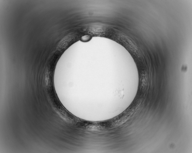 X0000103450408200810031440