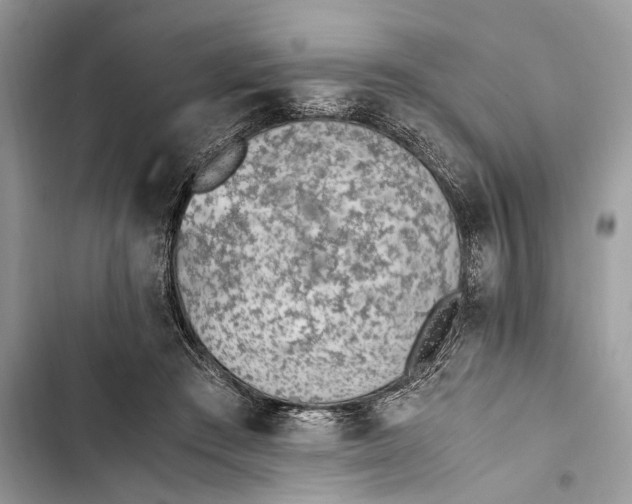 X0000103450409200810031440