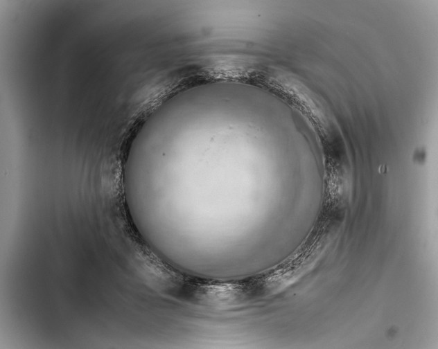 X0000103450411200810031440