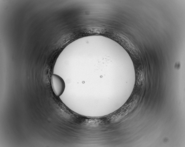 X0000103450414200810031440