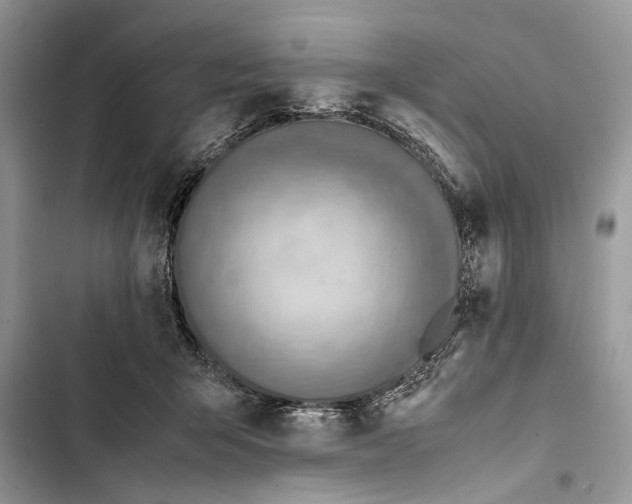 X0000103450415200810031440