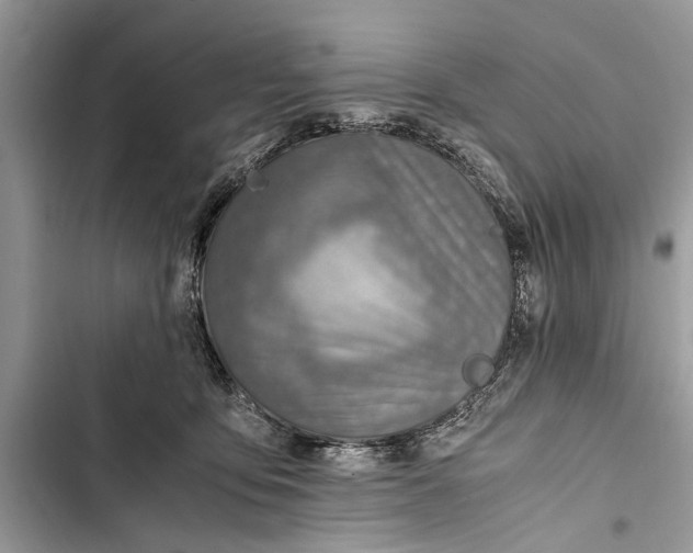 X0000103450419200810031440