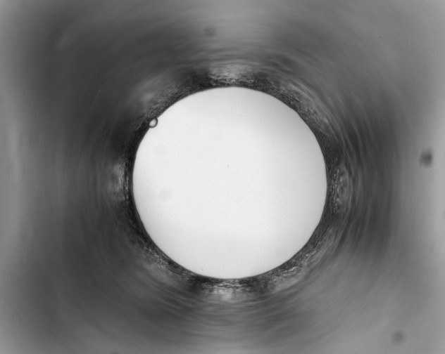 X0000103450420200810031440