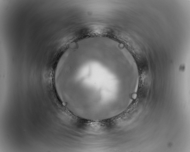 X0000103450423200810031440