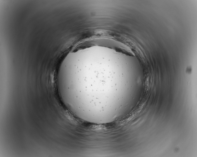 X0000103450424200810031440