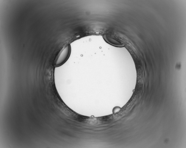 X0000103450425200810031440