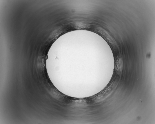 X0000103450426200810031440