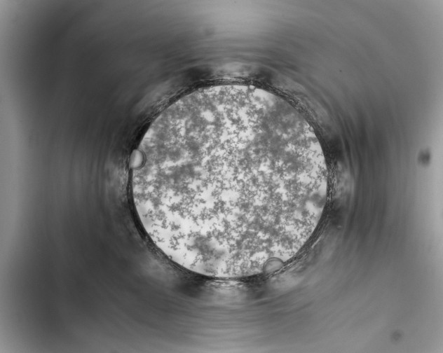 X0000103450427200810031440