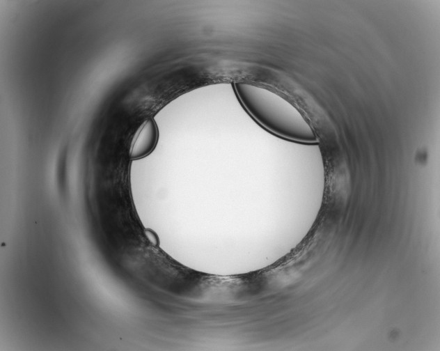 X0000103450429200810031440