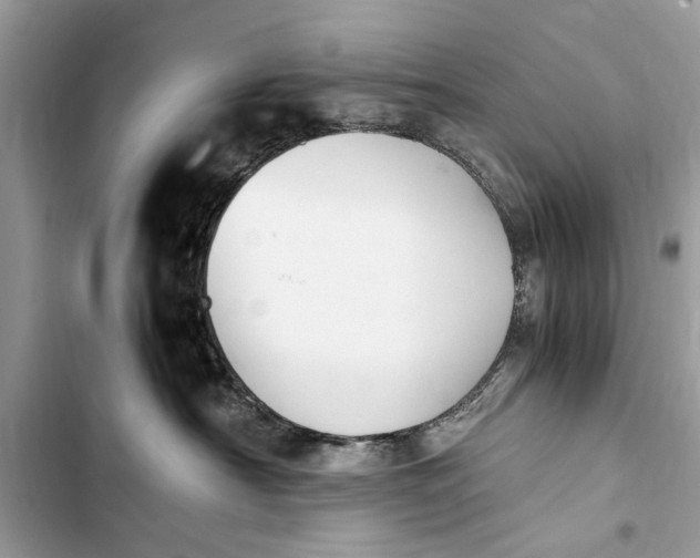 X0000103450430200810031440