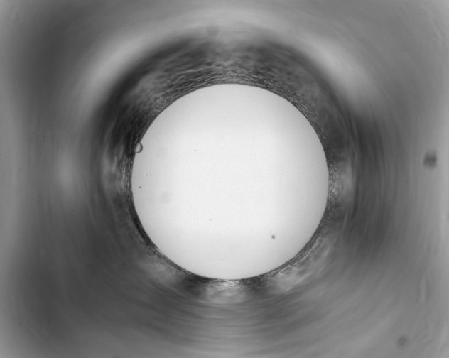 X0000103450431200810031440