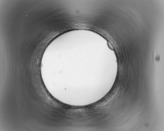 X0000103450433200810031439