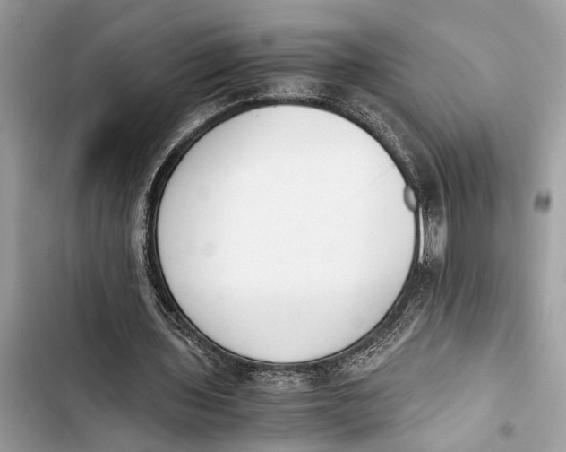 X0000103450435200810031439