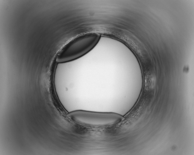 X0000103450436200810031439