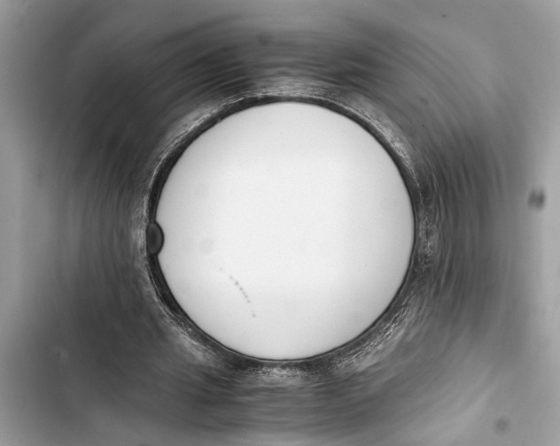 X0000103450437200810031439