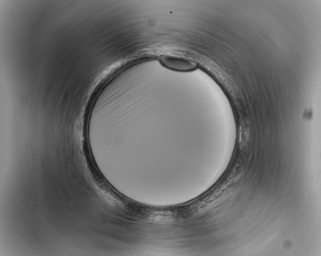 X0000103450438200810031439