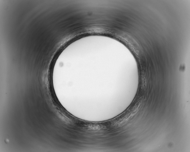 X0000103450439200810031439