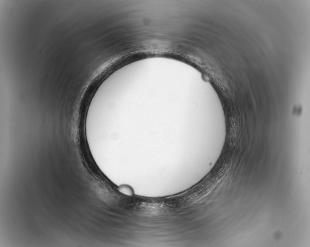 X0000103450440200810031439