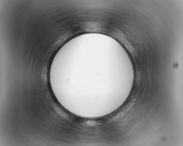 X0000103450441200810031439