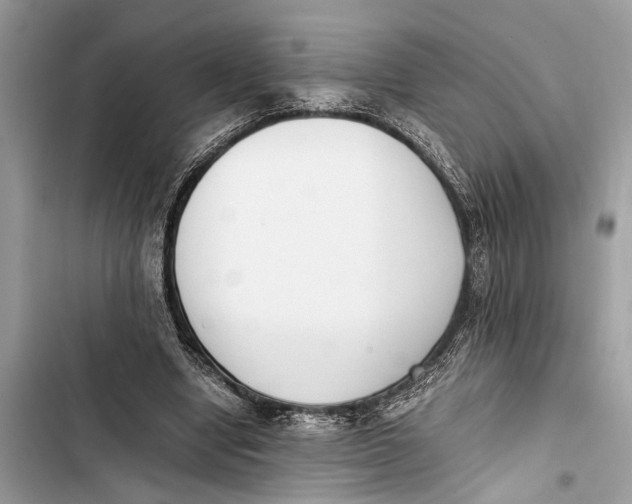 X0000103450442200810031439