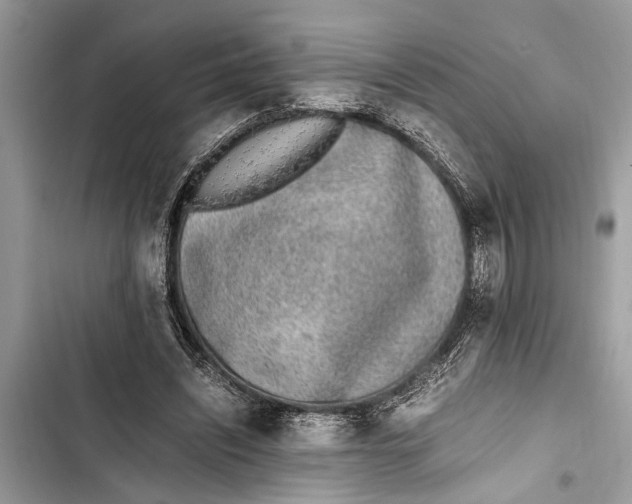 X0000103450444200810031439