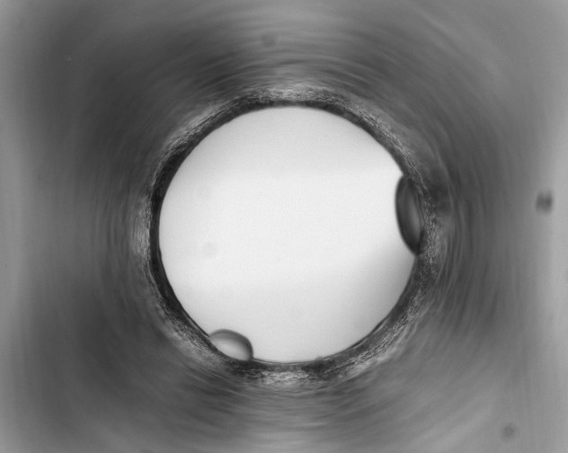 X0000103450446200810031439