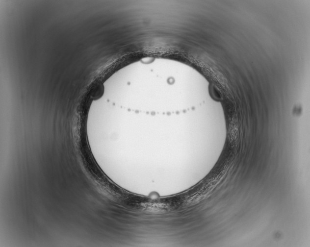 X0000103450448200810031439