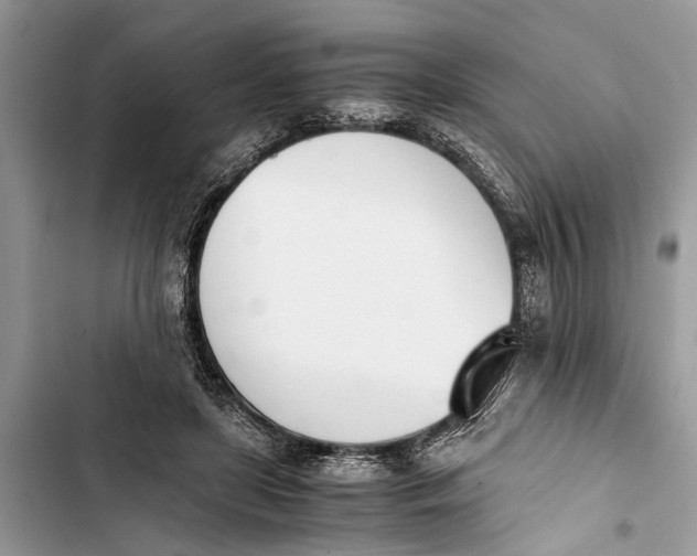 X0000103450451200810031439