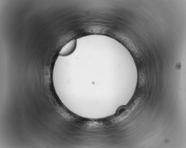 X0000103450453200810031439