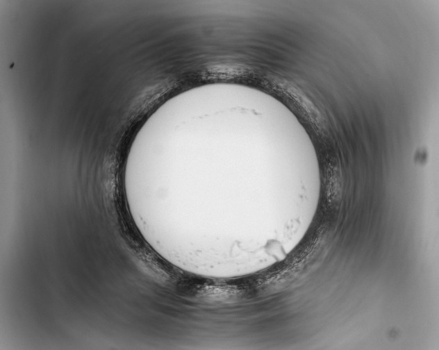 X0000103450455200810031439