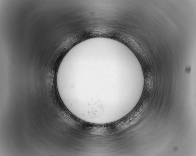 X0000103450458200810031439